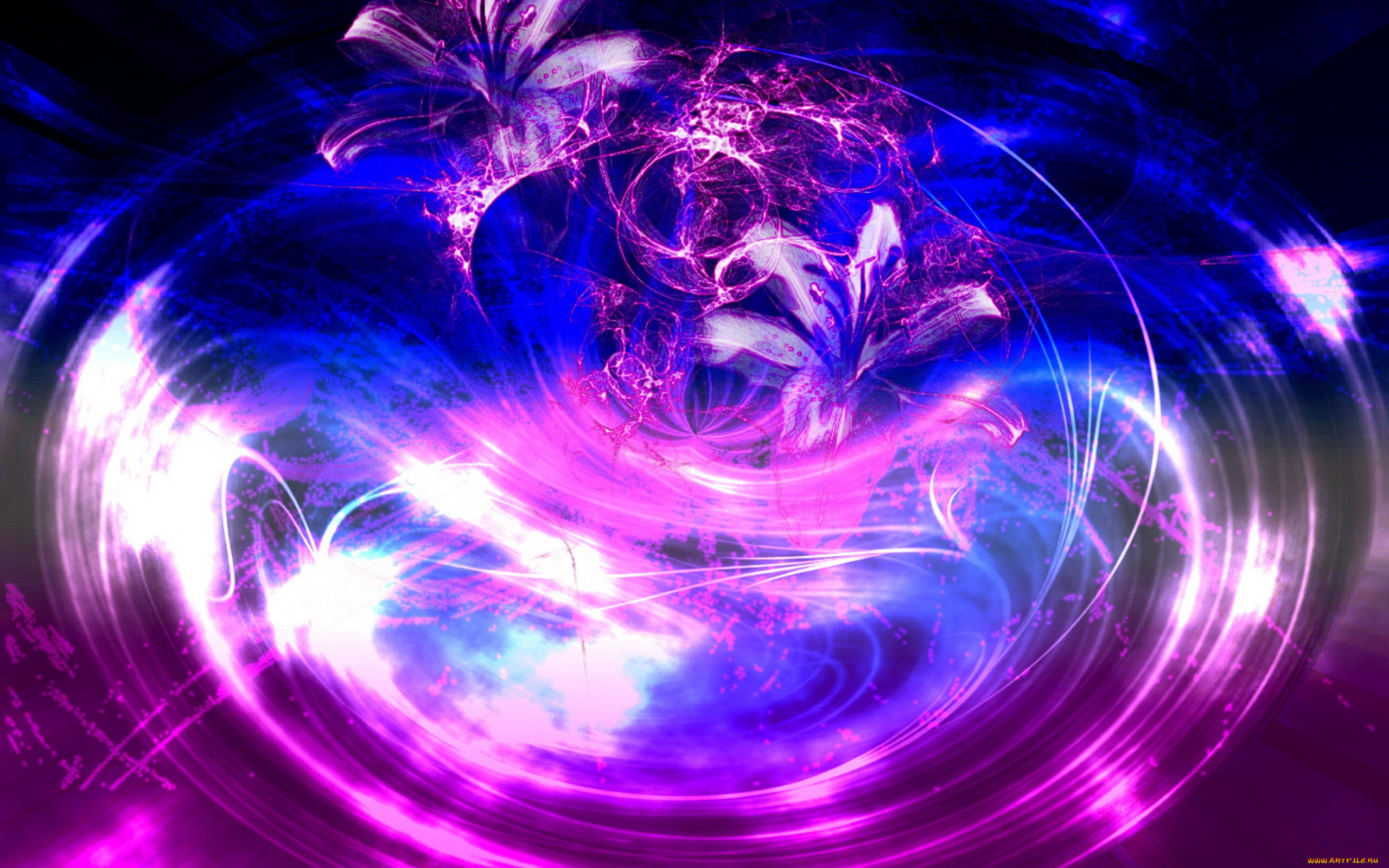 3� �������, ����� , flowers, �����, �����